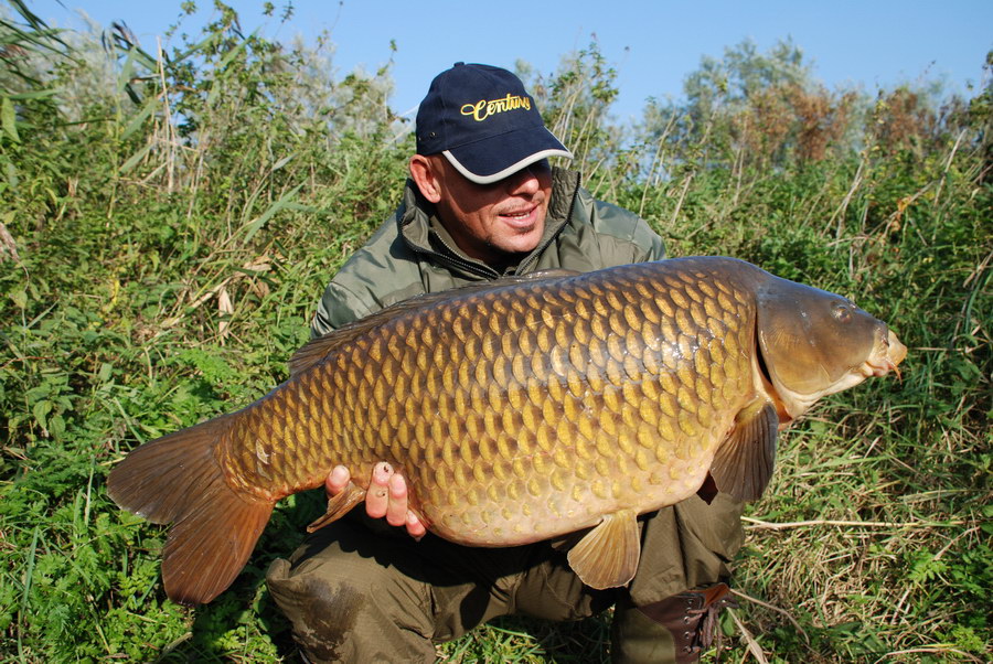 Carp Fishing in the Netherlands